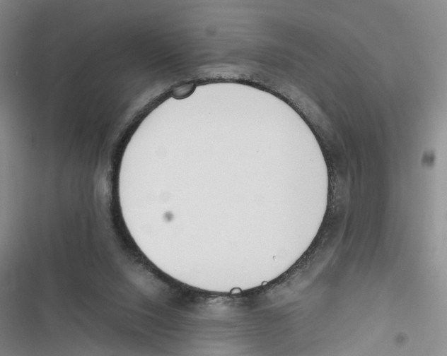 X0000116820064201001151214