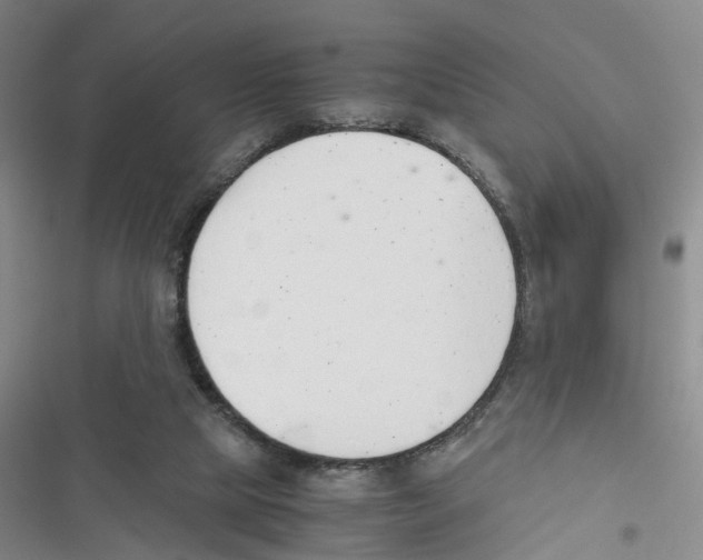 X0000116820065201001151214