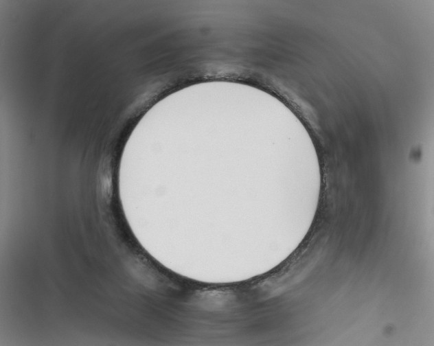 X0000116820067201001151214