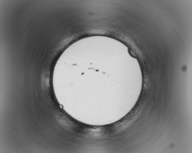 X0000116820068201001151214