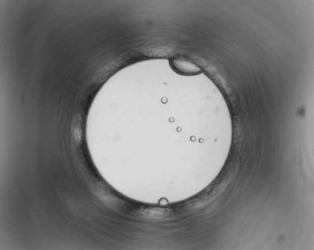 X0000116820069201001151214