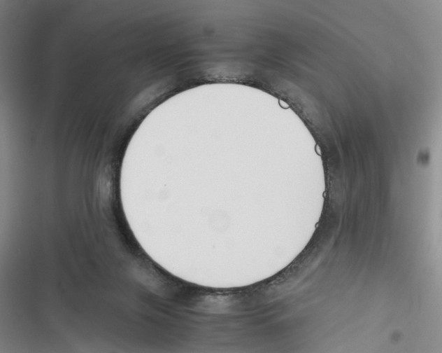 X0000116820071201001151214