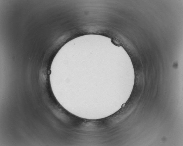 X0000116820072201001151214