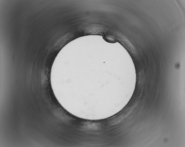 X0000116820073201001151214