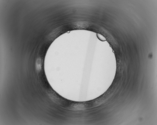 X0000116820075201001151214