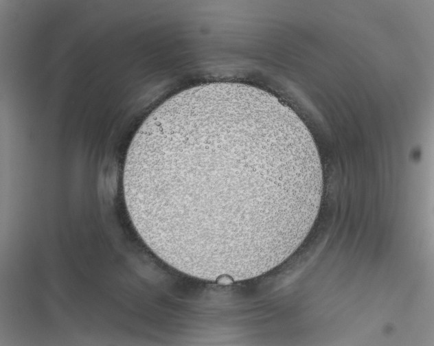 X0000116820076201001151214