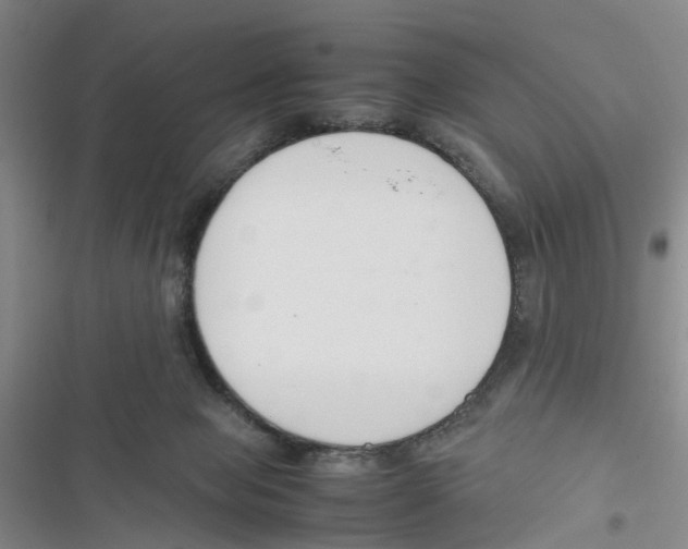 X0000116820077201001151214