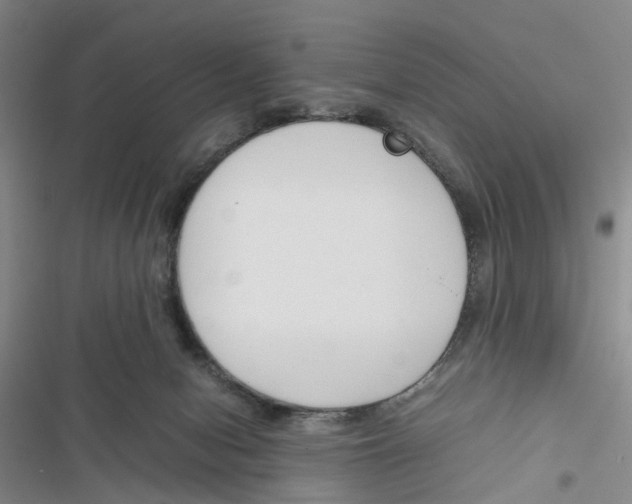 X0000116820078201001151214