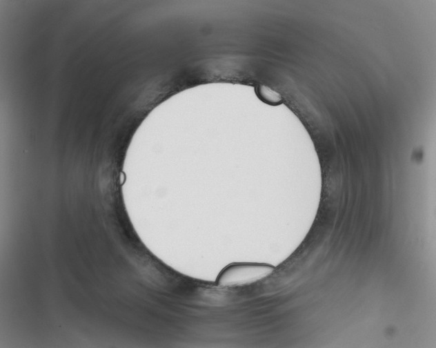 X0000116820079201001151214