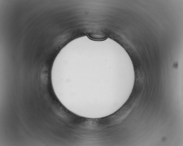 X0000116820080201001151214