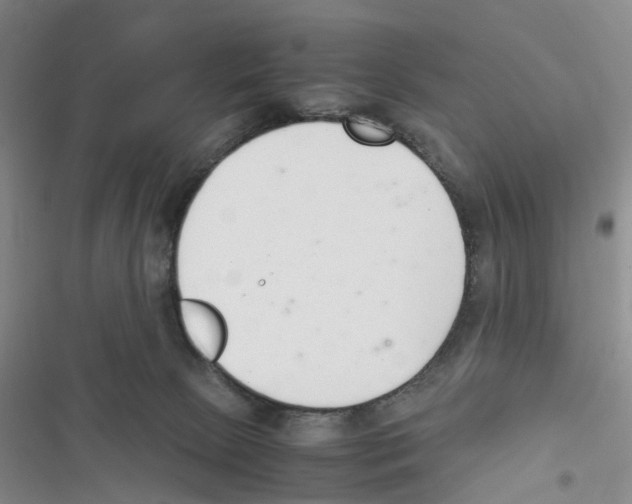 X0000116820081201001151214