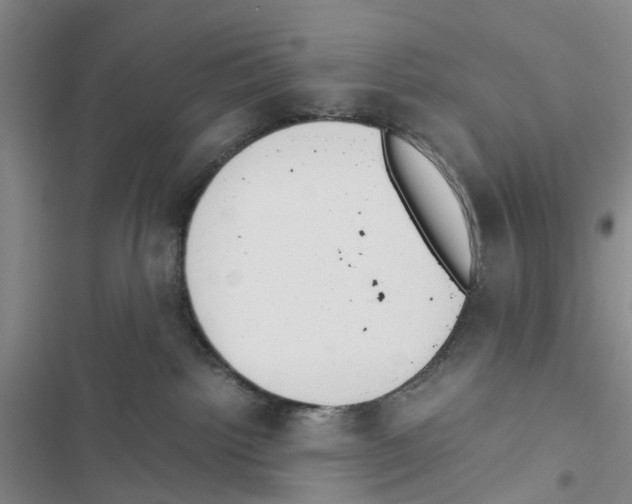 X0000116820092201001151214