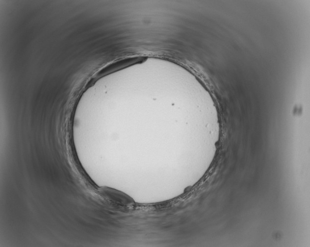 X0000116820097201001151213