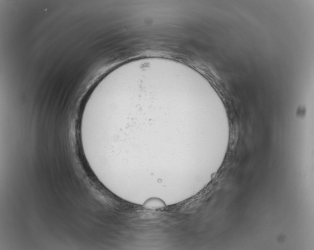 X0000116820098201001151213