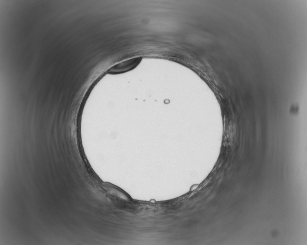 X0000116820099201001151213