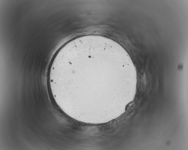 X0000116820100201001151213