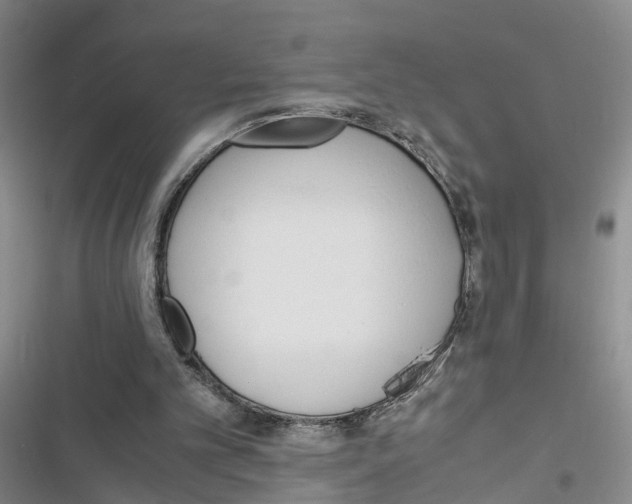 X0000116820101201001151213