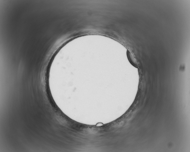 X0000116820103201001151213