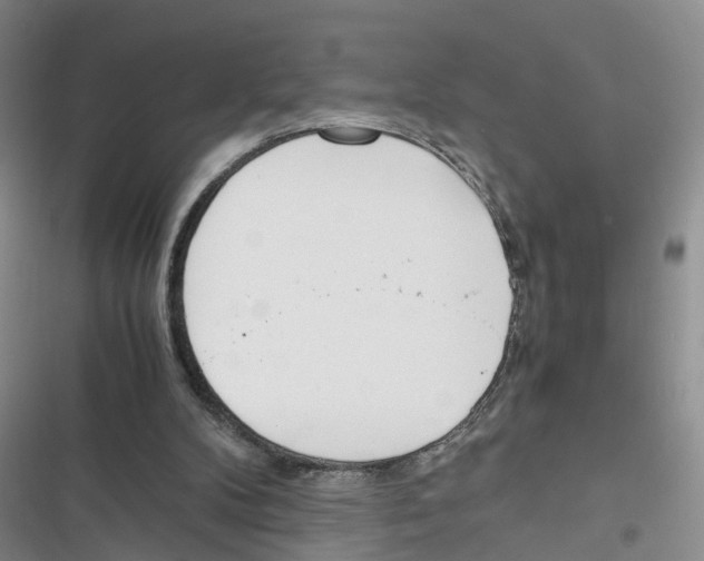 X0000116820104201001151213