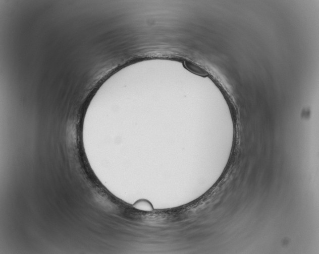 X0000116820105201001151213