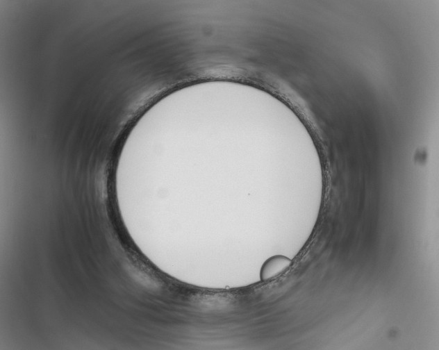 X0000116820106201001151213