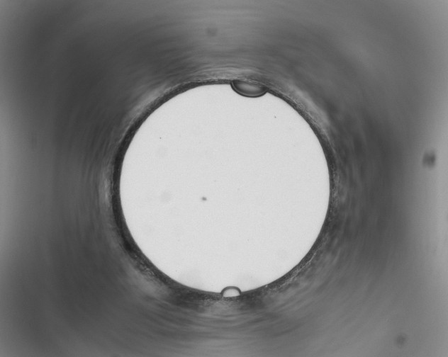 X0000116820107201001151213