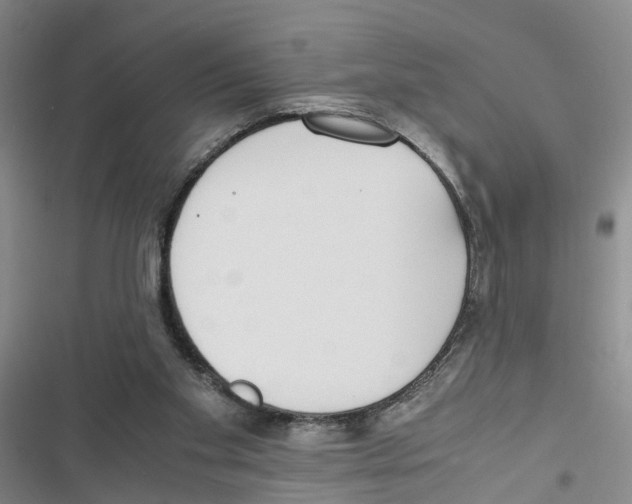 X0000116820109201001151213