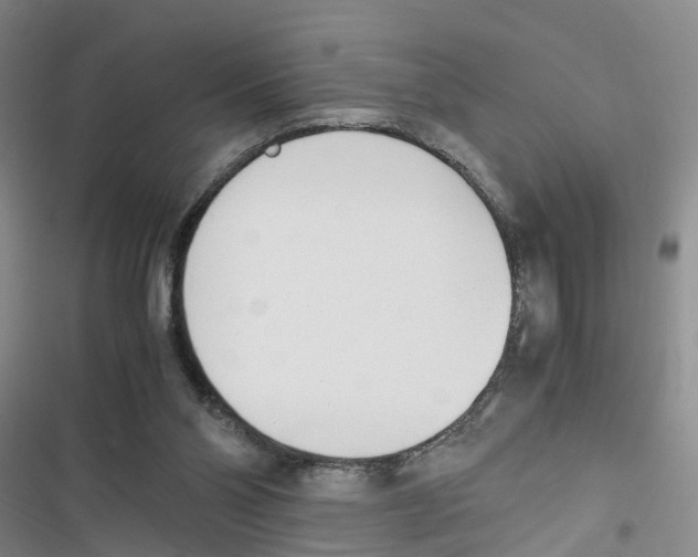 X0000116820110201001151213