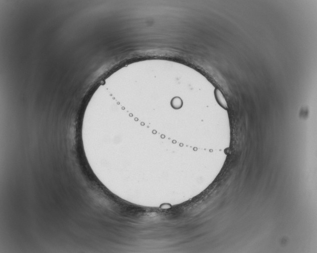 X0000116820111201001151213