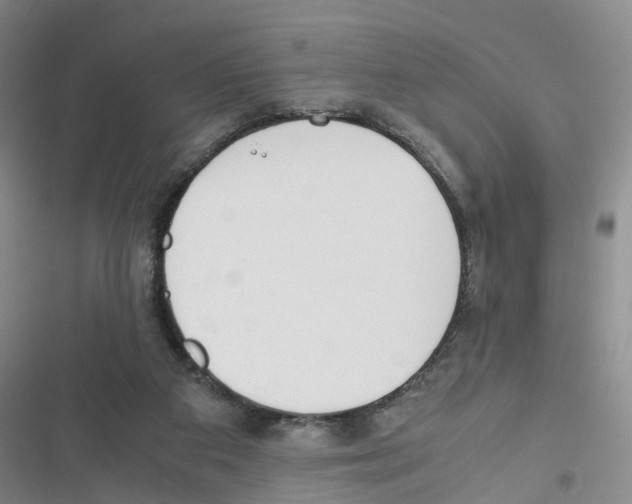 X0000116820113201001151213