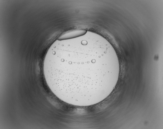 X0000116820114201001151213