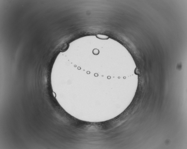 X0000116820115201001151213