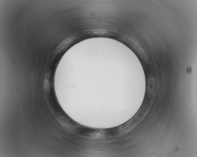 X0000116820116201001151213