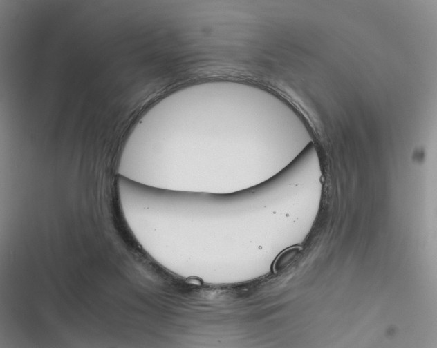 X0000116820117201001151213