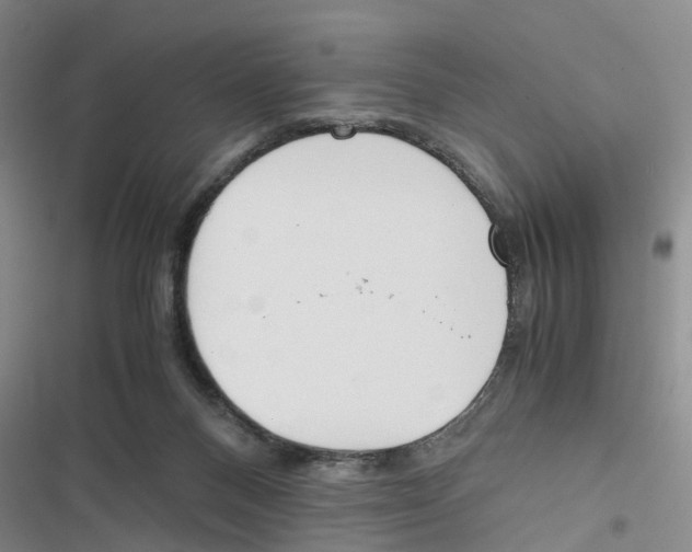 X0000116820120201001151213