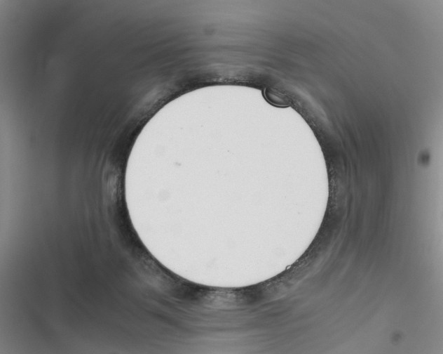 X0000116820123201001151213