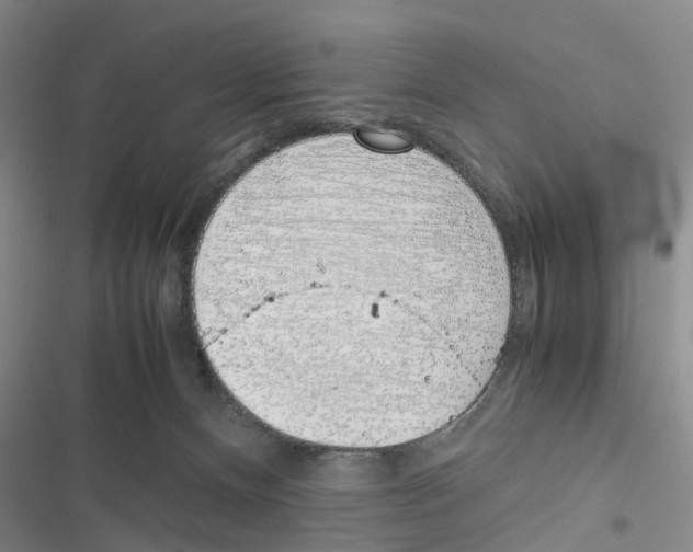 X0000116820128201001151213