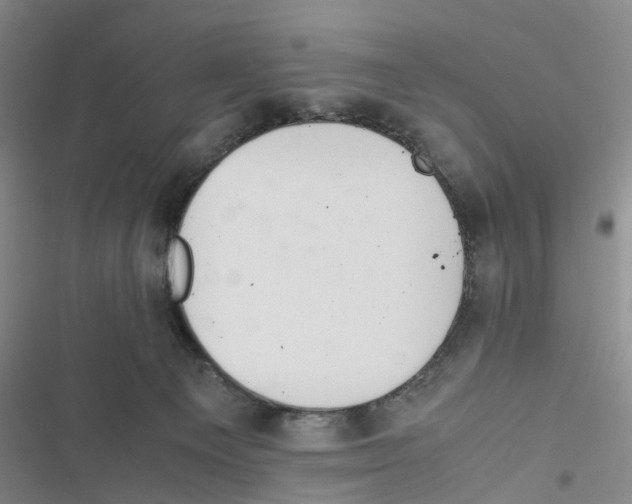 X0000116820129201001151213