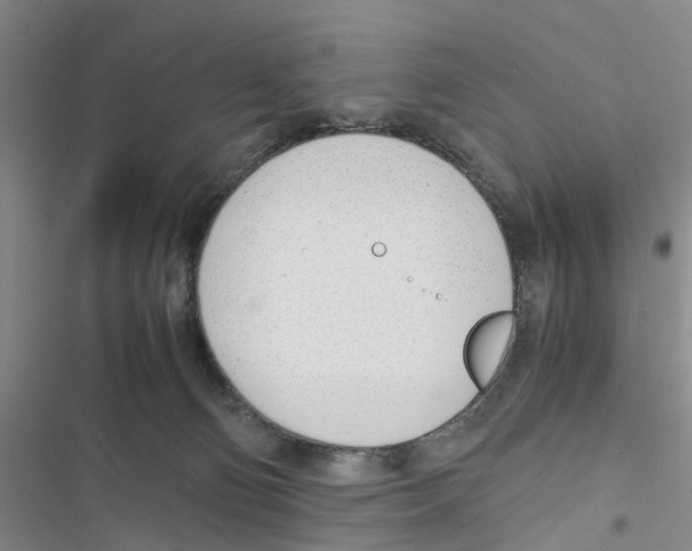 X0000116820130201001151213