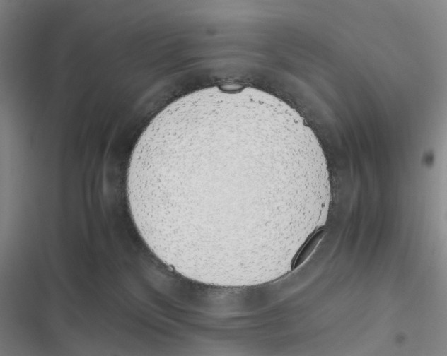 X0000116820136201001151213