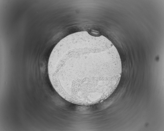 X0000116820139201001151213