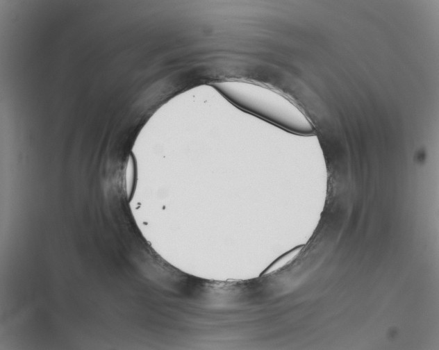 X0000116820141201001151213