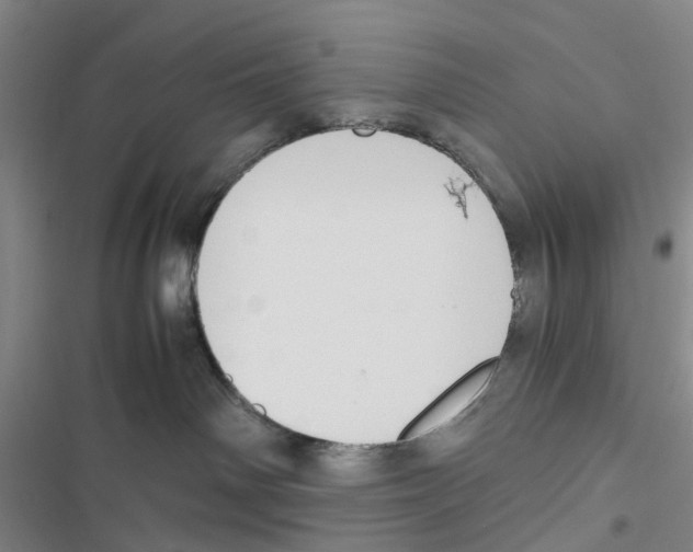 X0000116820142201001151213