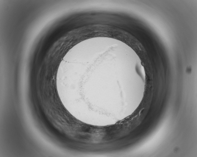 X0000116820143201001151213