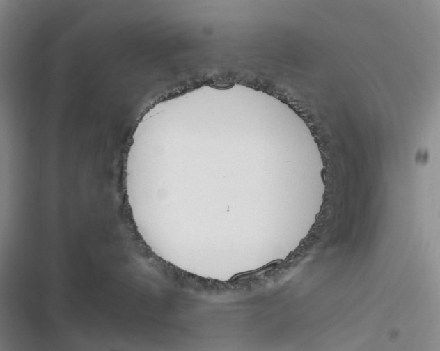 X0000116820144201001151213