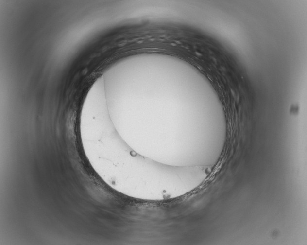 X0000116820146201001151212