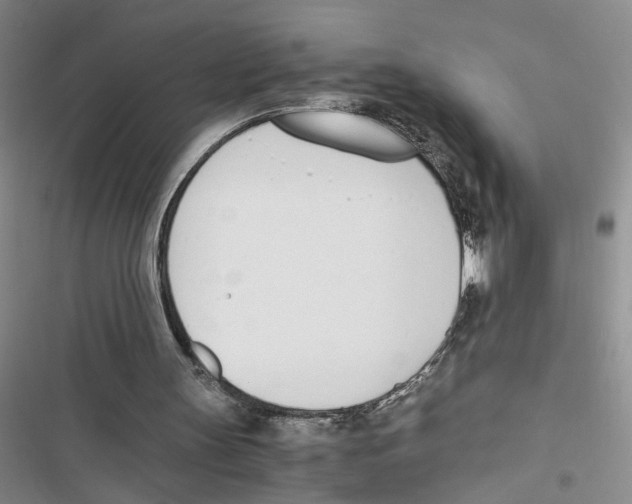 X0000116820147201001151212