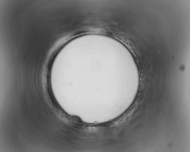 X0000116820149201001151212