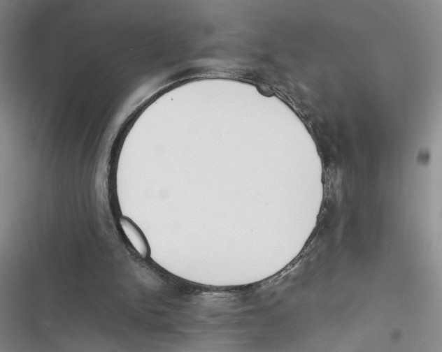 X0000116820150201001151212