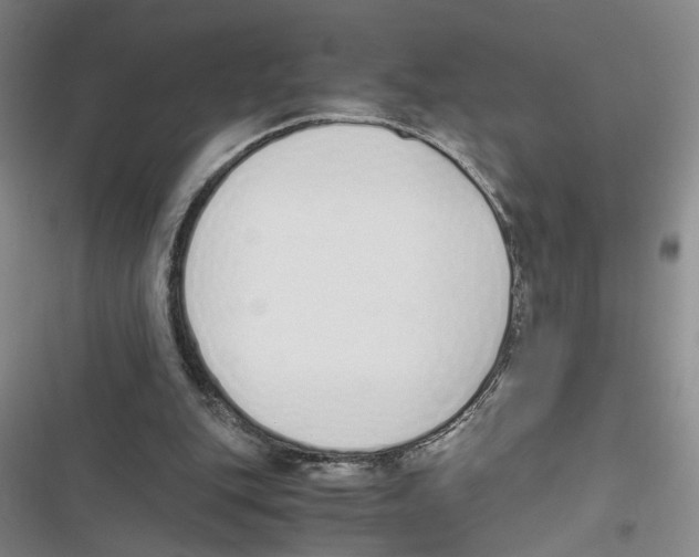 X0000116820151201001151212